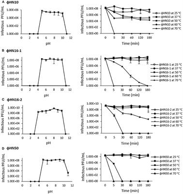 Characterization of Bacteriophages Infecting Clinical Isolates of Clostridium difficile